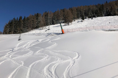 tiefschnee